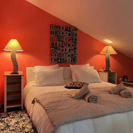 Apartament Le Coq Enchantee - Nid Douillet Au Coeur De Montauban